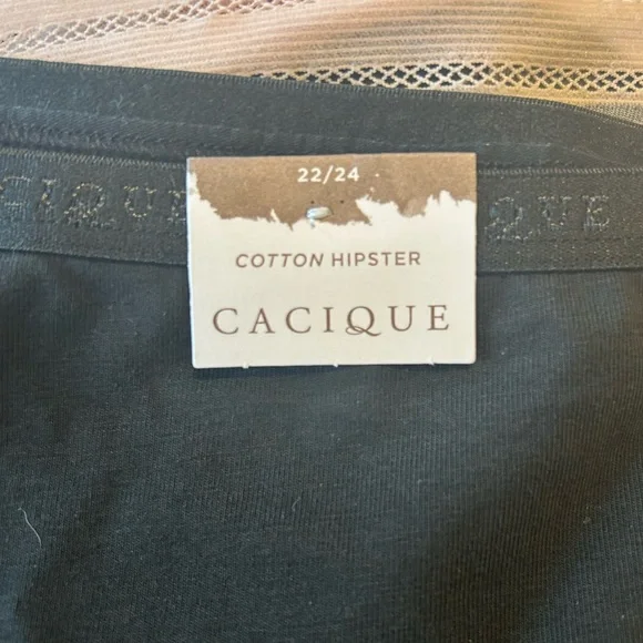 NWT Two 22/24 Lane Bryant Cacique Cotton Hipsters - Picture 3 of 4